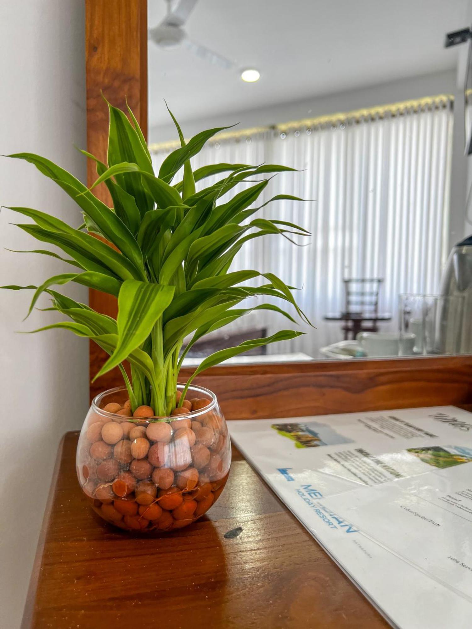 Meridian Holiday Resort راتنابورا المظهر الخارجي الصورة