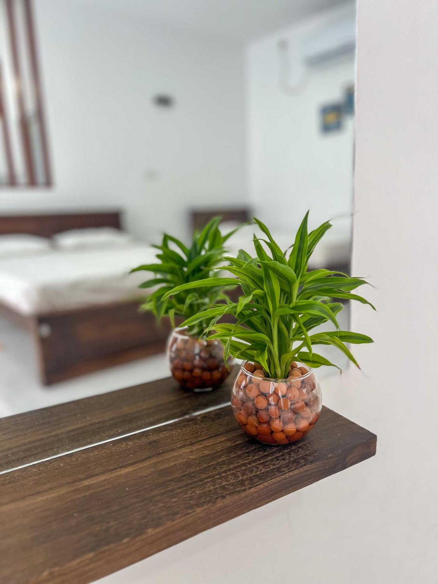 Meridian Holiday Resort راتنابورا المظهر الخارجي الصورة